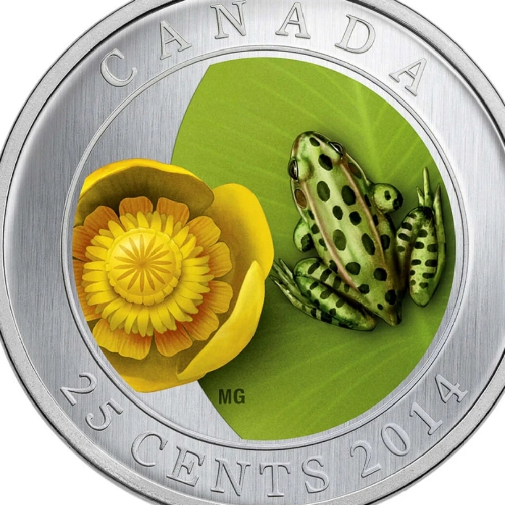 2014 RCM 25c Water-Lily And Leopard Frog - Coloured Coin
